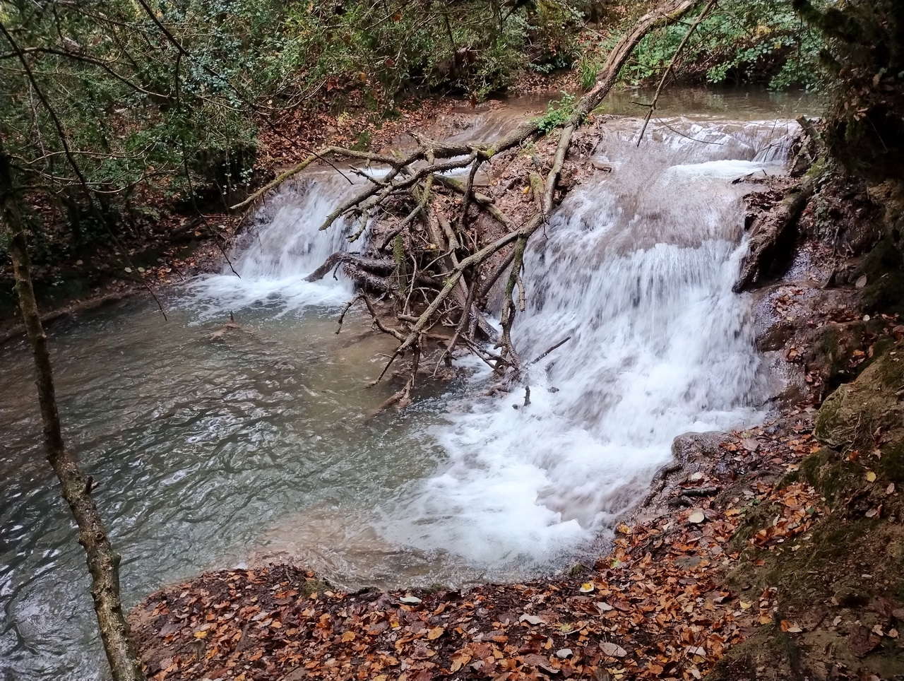 IMG 20251025 111704131 HDR