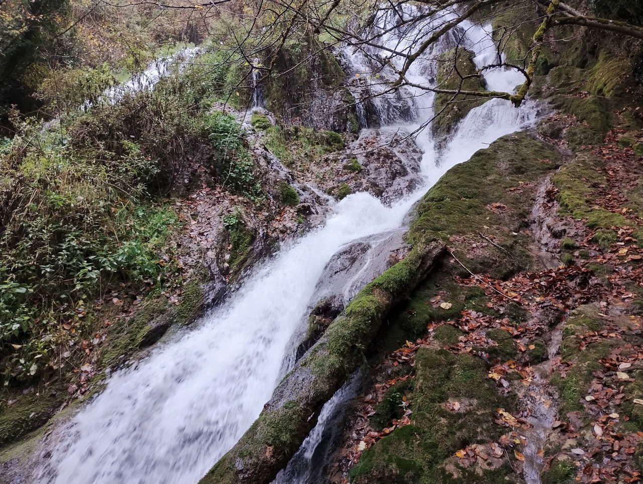 IMG 20251025 113900262 HDR